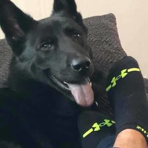 Meet your Posher, Alex